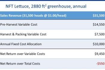 Example of Budget Summary NFT Lettuce