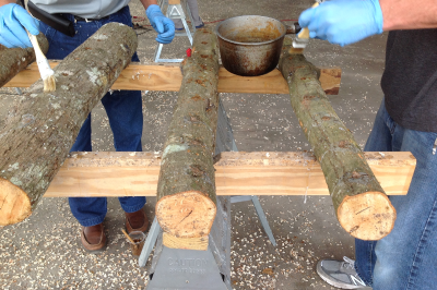Participants adding wax to logs